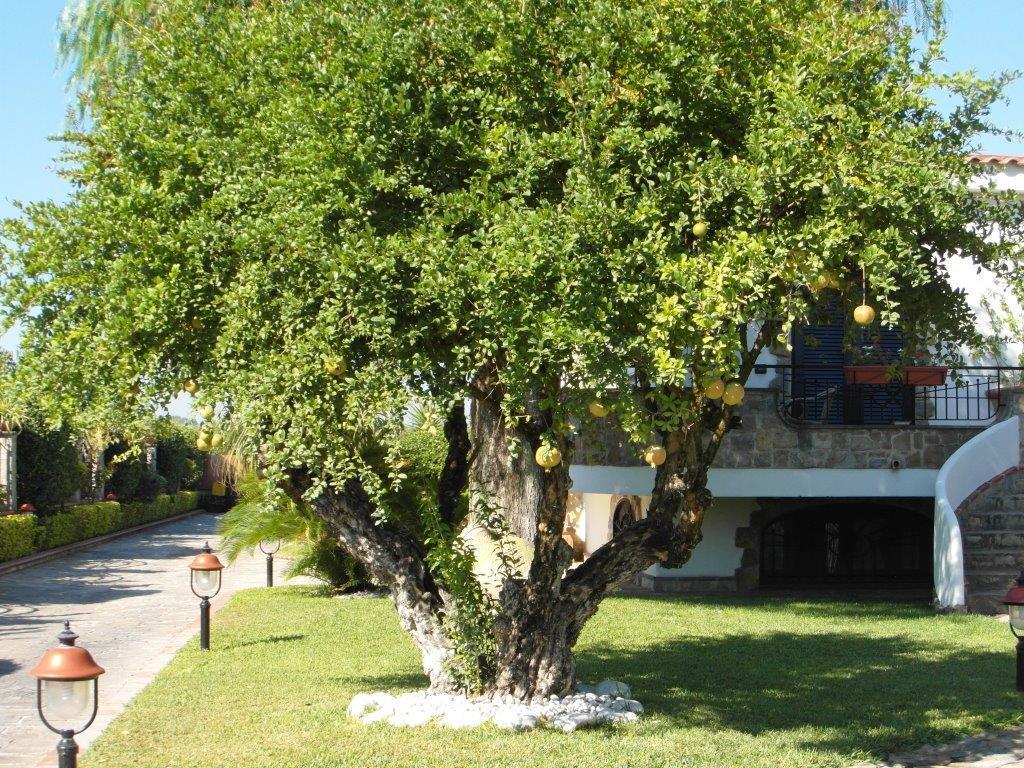 B&B Villa Lura 폼페이 객실 사진